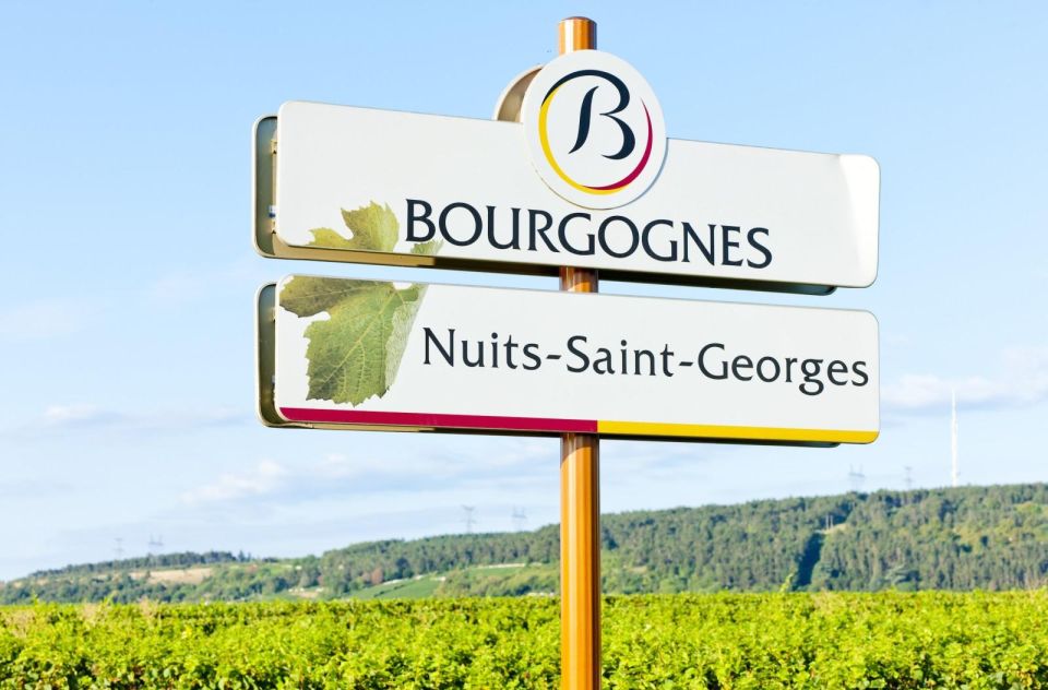 Vineyards of Beaune Driving a 2CV With a Picnic - Booking Information