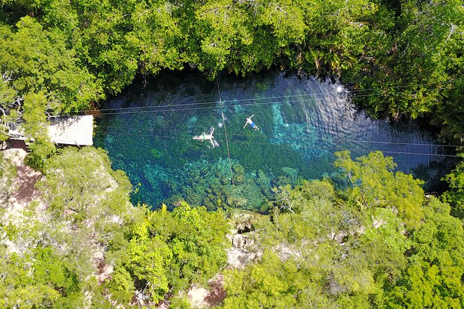 VIP Cenotes & Turtles Private Tour - Final Words