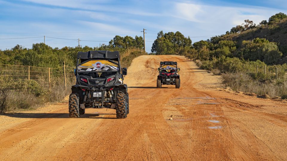 Albufeira: Full Day Off-Road Buggy Tour With Lunch & Guide - Logistics and Requirements