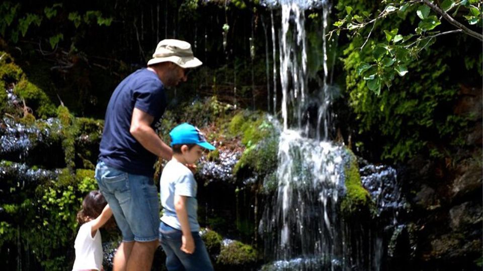 Andros Town, Pythara Falls, Menites Springs: Half-Day Tour - Important Information