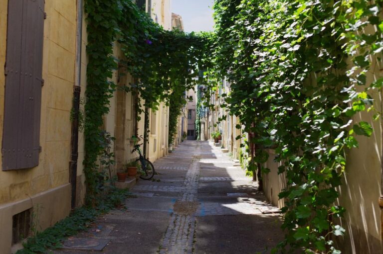 Arles 2-Hour Private Walking Tour