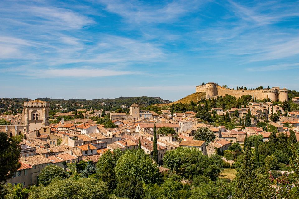 Avignon Private Guided Tour and Wine Tastings From Marseille - Accessibility and Language Options