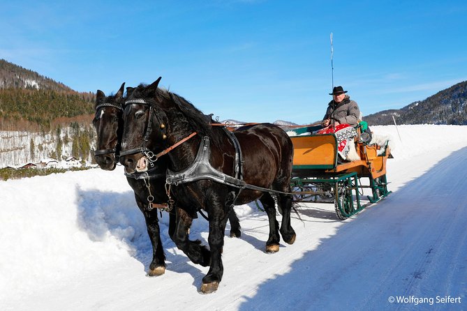 Christmas Horse-Drawn Sleigh Ride From Salzburg - Booking Information
