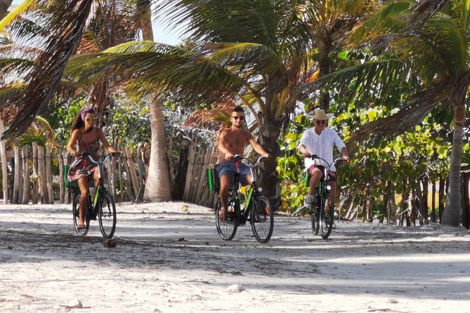 CRUISE GUEST Electric Bike - Challenges Faced by Customers