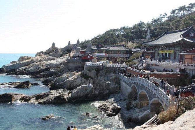 Cruise Layover : Small Group Busan Essential Tour - Unforgettable Busan Experience