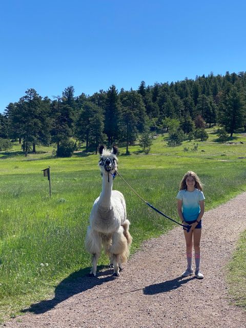 Denver: Llama Hike in the Rocky Mountains - Common questions