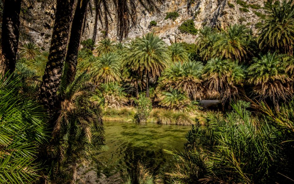 Explore Preveli Palms, Damnoni Beach & Historic Rethymno - Tour Exclusions