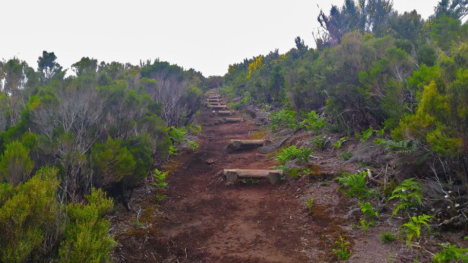 Fanal / Whistlers - Levada Walk - Common questions