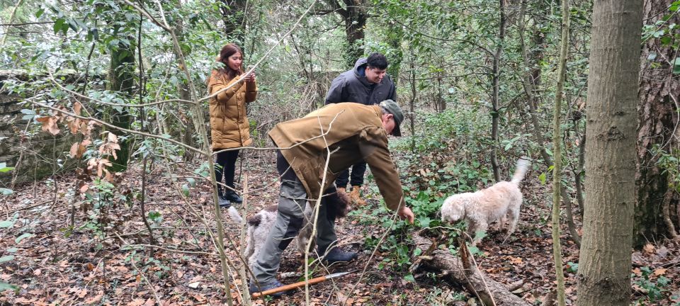 From Florence: Truffle Hunt and Lunch in the Countryside - Important Restrictions