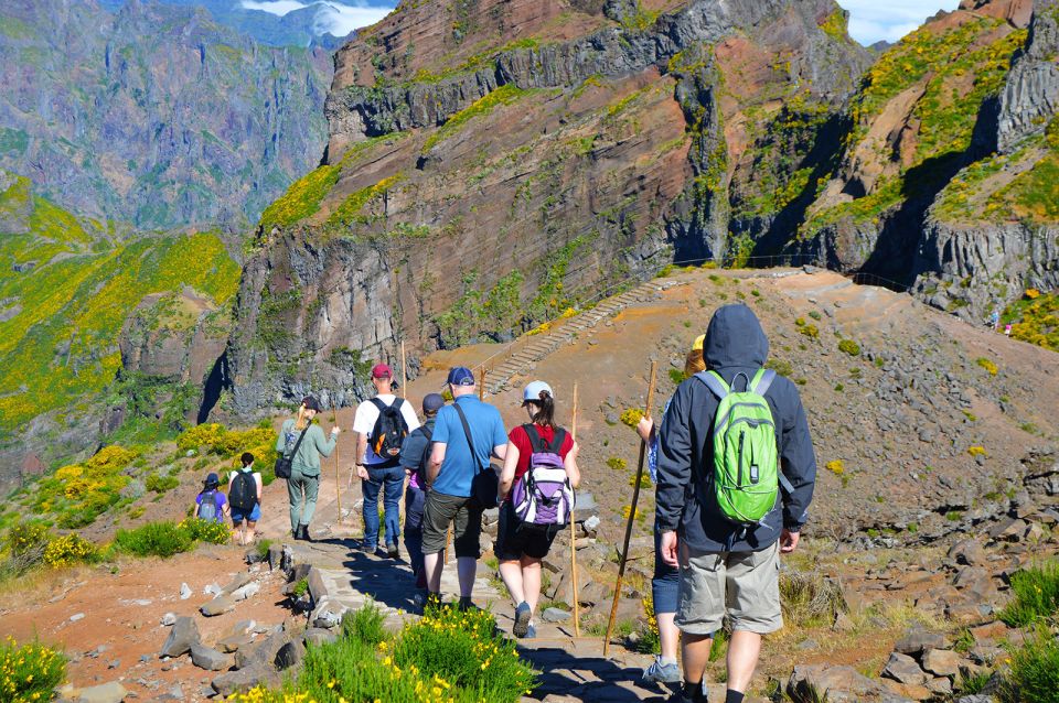 From Funchal: Madeira Peaks Mountain Walk - Final Words