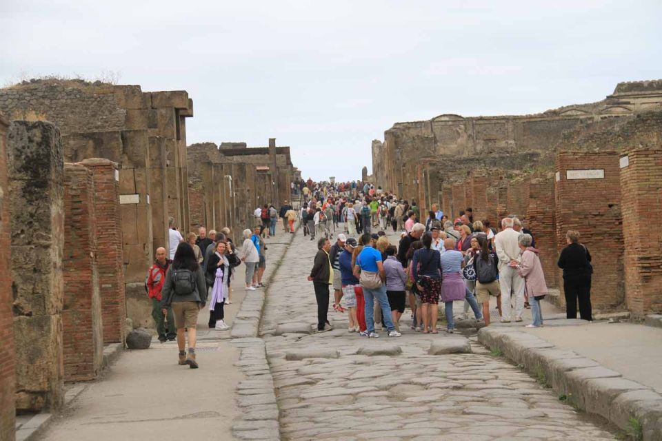 From Naples: Pompeii, Herculaneum, and Vesuvius Private Tour - Common questions