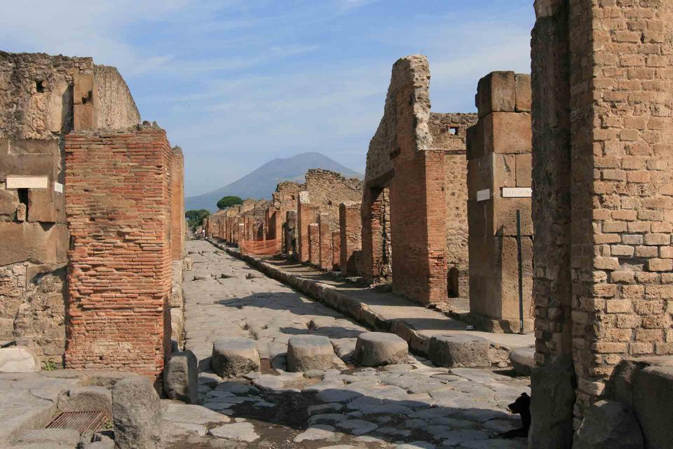 From Naples: Private Tour Vesuvius, Herculaneum and Pompeii - Final Words