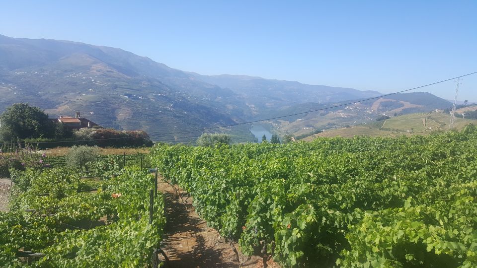 From Porto: Private Douro Valley Tour With Booking Service - Final Words