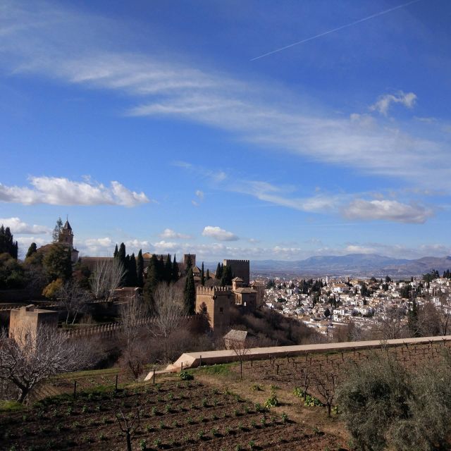 From Seville: Private Day Trip to Ronda and Granada - Alhambra Ticket Requirements