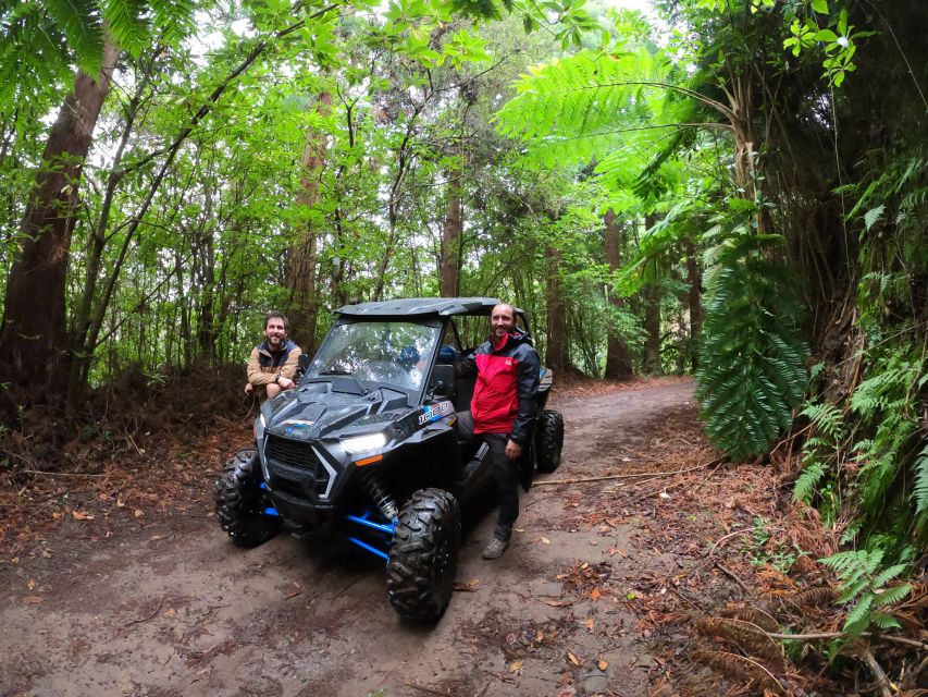 Funchal: Private Off-Road Buggy Tour With Guide & Transfers - Customer Reviews and Ratings