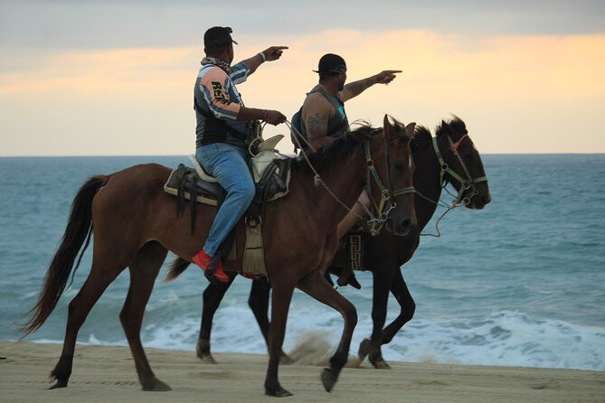 Guided Cabo Horseback Ride With Hotel Pickup  - Cabo San Lucas - Positive Traveler Reviews