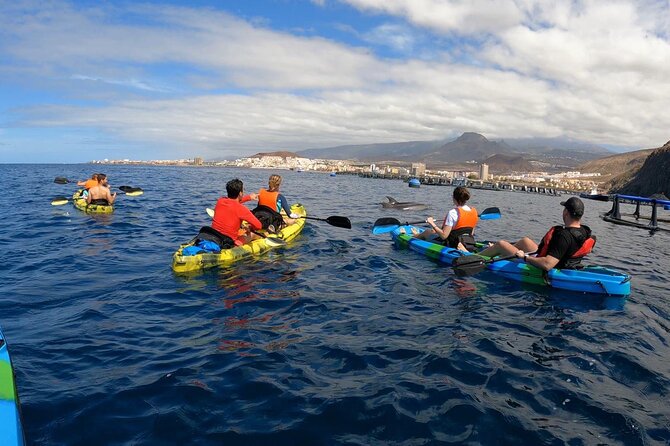Guided Kayak Tour From Los Cristianos Beach Tenerife - Final Words