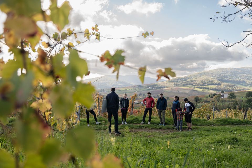 Half Day Bike Guided in Beaujolais - Mont Brouilly and Wine - Directions