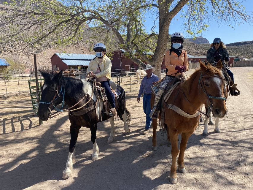 Horseback Ride Thru Joshua Tree Forest With Buffalo & Lunch - Additional Information