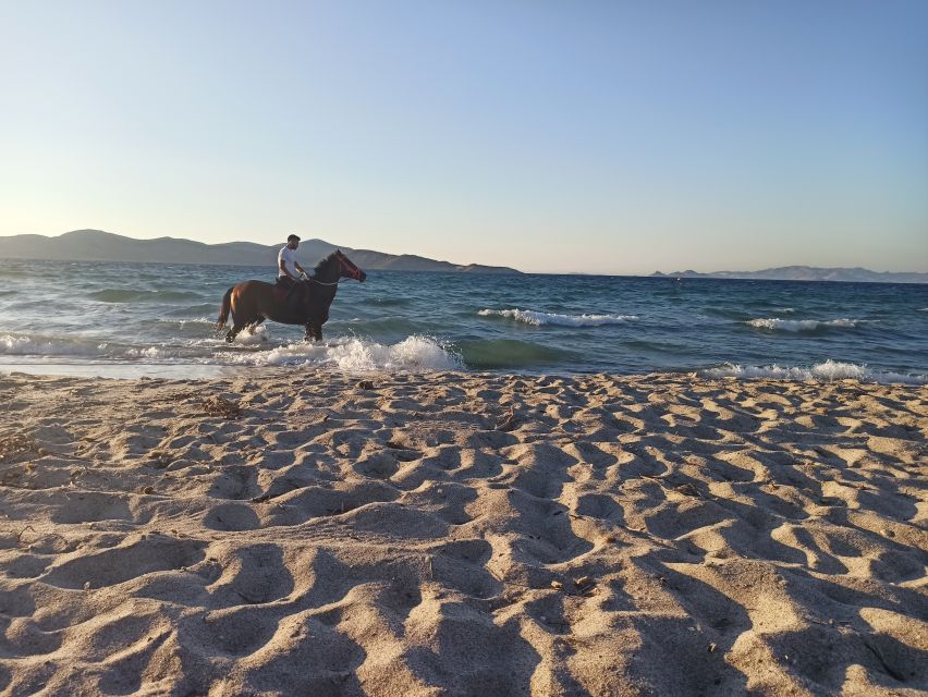 Kos: Horse Riding Experience on the Beach With Instructor - Final Words