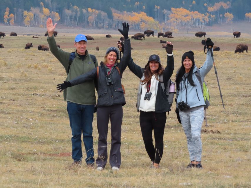 Lamar Valley: Safari Hiking Tour With Lunch - Live Tour Guide