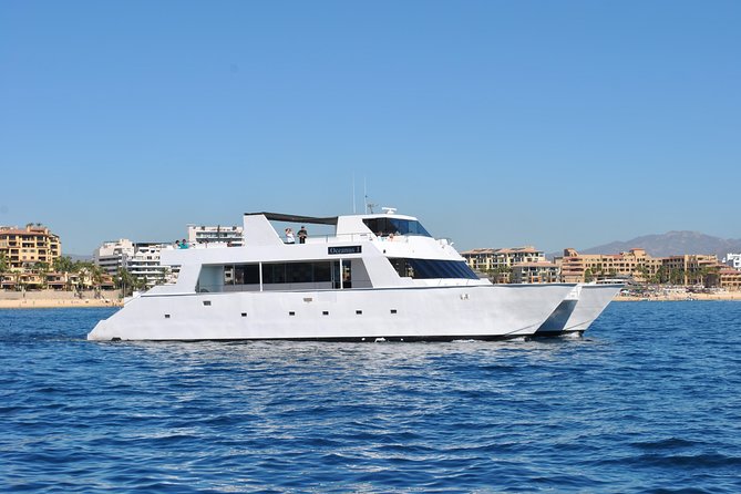 Los Cabos Reef Snorkeling Cruise With Lunch and Open Bar - Help Center Availability