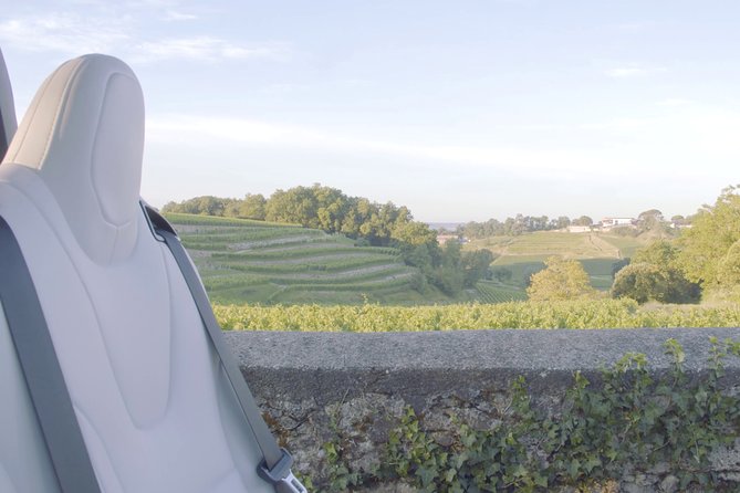 Luxurious Full Day Bordeaux Wine Tour in a Tesla - Reviews and Ratings Overview