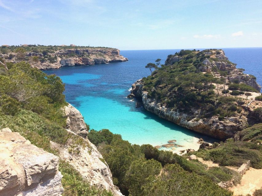 MALLORCA HIGHLIGHTS: Palma, Valdemosa, Archeology & Beach - Discovering Mallorcas First Inhabitants