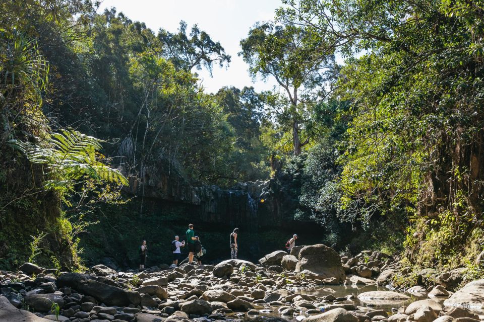 Maui: Hike to the Rainforest Waterfalls With a Picnic Lunch - Booking Information and Tips