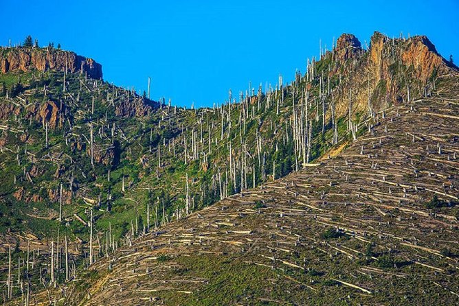 Mt. St. Helens National Monument From Seattle: All-Inclusive Small-Group Tour - Amenities