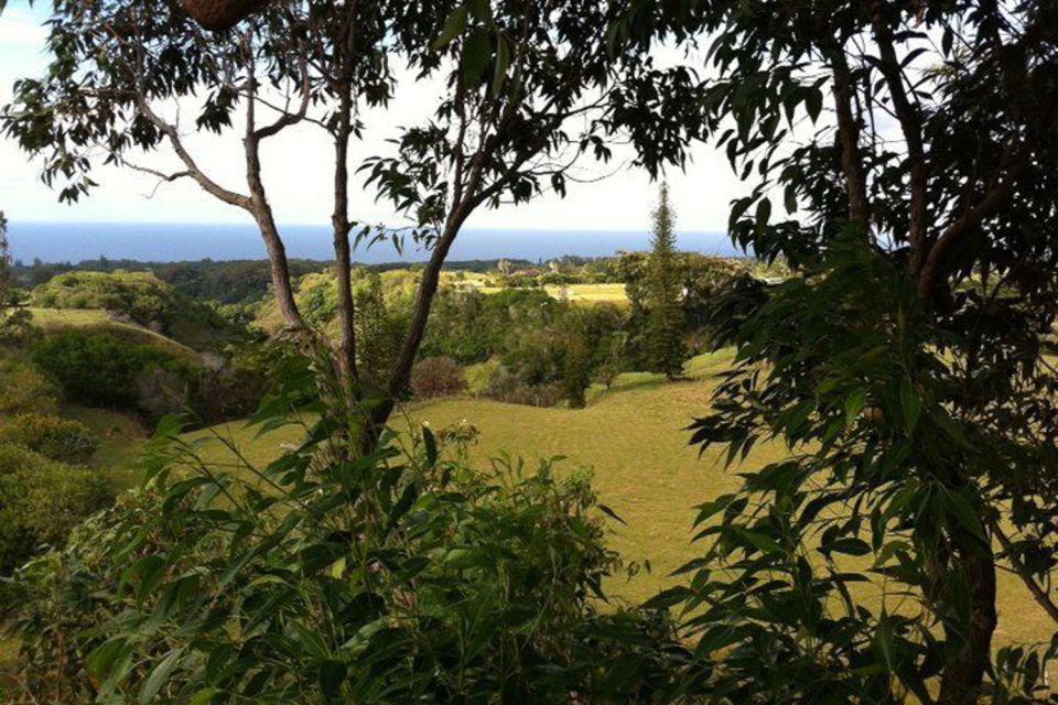 North Maui: 7 Line Zipline Adventure With Ocean Views - Common questions