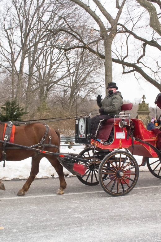 NYC: Central Park Horse-Drawn Carriage Ride With Photos - Key Points