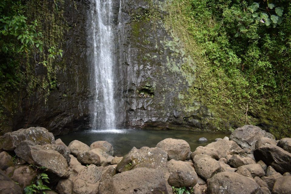 Oahu: Hike to the Manoa Falls Waterfall With Lunch - Reviews