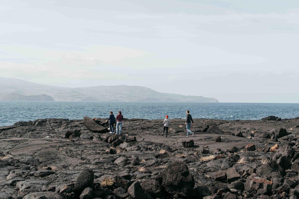 Pico Island: Half Day Private Wine Tour - Duration and Languages