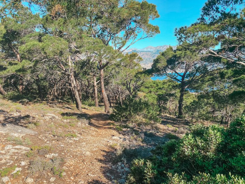 Pigadia: Agia Kyriaki Guided Hike With Coffee/Tea and Raki - Final Words