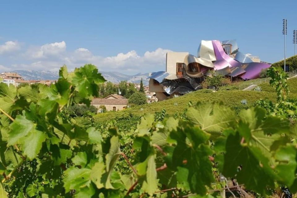 Premium Wine Tour of Rioja With Gourmet Lunch (From Bilbao) - Directions