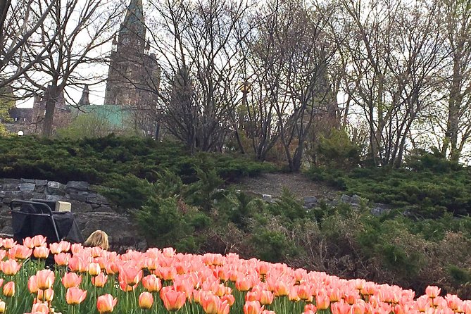 Private Day Tour OTTAWA Tulip Festival May 10-20 From MONTREAL - Directions and Festival Highlights