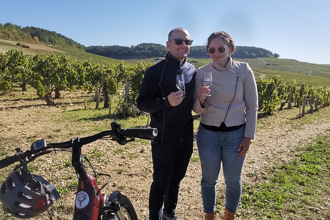 Private E-Bike Tour With a Guide in the Vineyards of Chablis - Service Inclusions