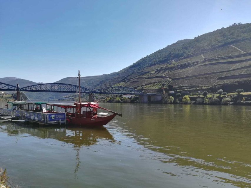 Private Tour: Douro Valley Wine and Food From Oporto - Important Information and Price