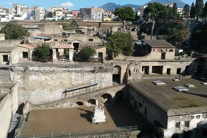 Private Walking Tour Through the Historical City of Herculaneum - Tour Pricing