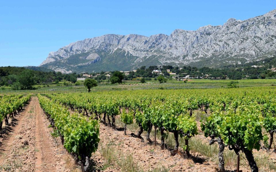 Provence, Vineyards & Lavender Fields Private Day Trip - Additional Details