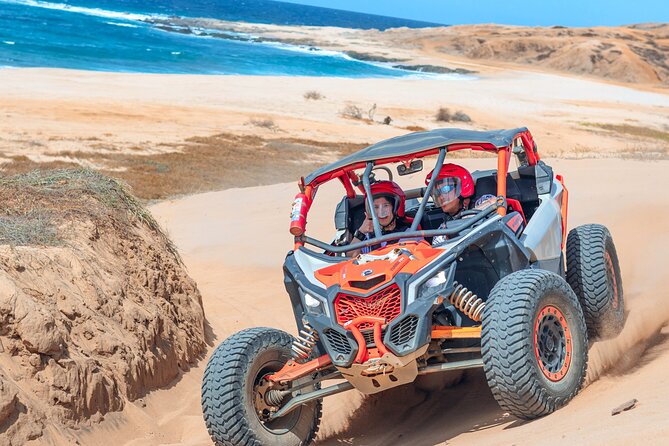 Real Baja Tour Aboard an Off-Road RZR in Los Cabos  - Cabo San Lucas - Common questions