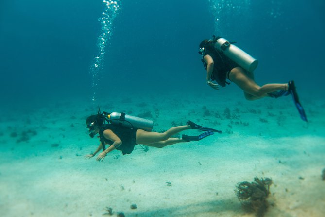 Scuba Diving in Cozumel Island - Final Words