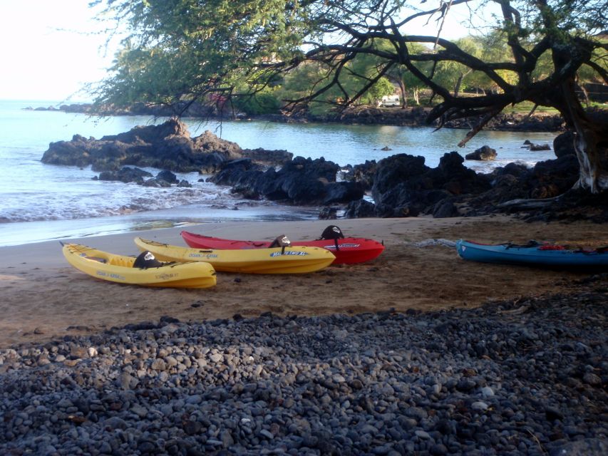 South Maui: Whale Watch Kayaking and Snorkel Tour in Kihei - Common questions