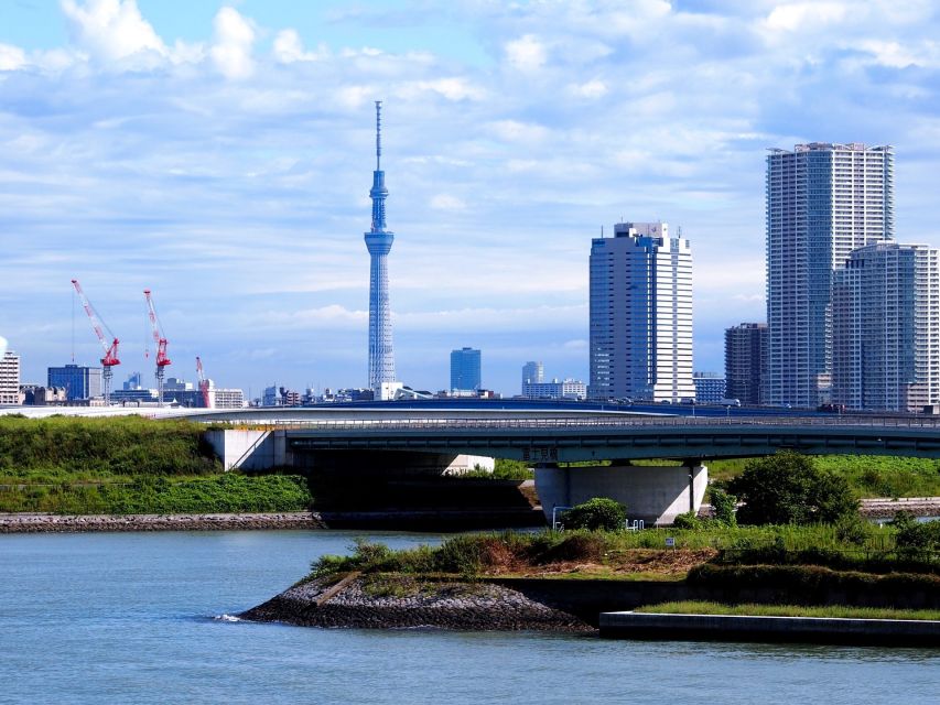 Tokyo: 1-Day Private Customizable Tour by Car - Booking and Directions