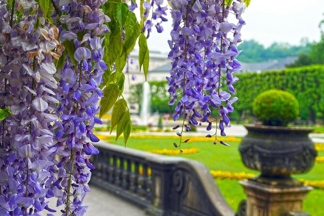 Touristic Highlights of Salzburg on a Private Half Day Tour With a Local - Final Words