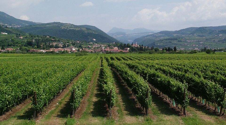 Veneto: Amarone Cooking and Tasting Experience in a Villa - Pricing Information
