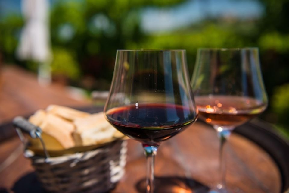 VIP Experience Verona, Wine-Tasting & Bardolino From Verona - Final Words