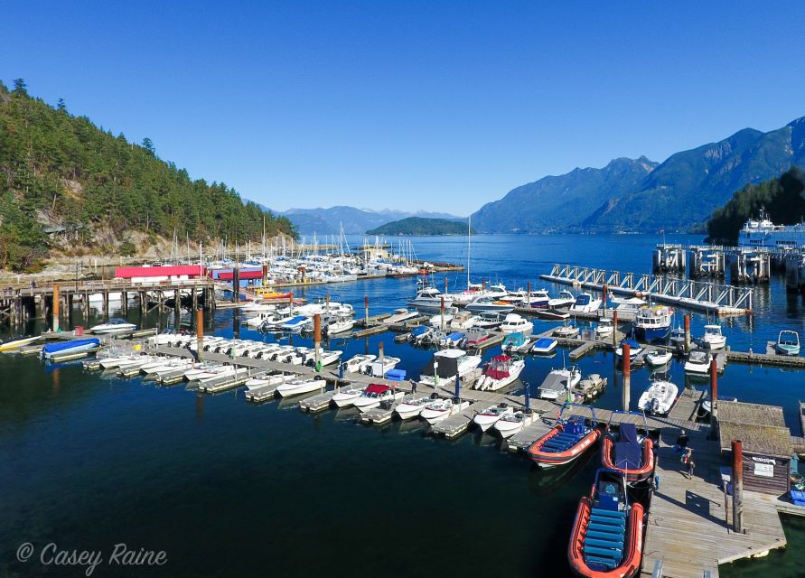 West Vancouver: Howe Sound and Bowen Speedboat Tour - Common questions