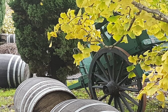 Wine Tasting in Frascati From Rome - Getting There